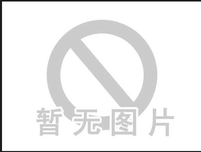 2009年11月 荣获深圳市电子商会第二届理事会常务理事单位